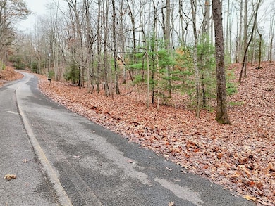 Tract 3 Wilmar Cir, Blairsville, GA 30512 - photo 2