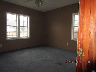 731 Scott St, New Madrid, MO 63869 - photo 5