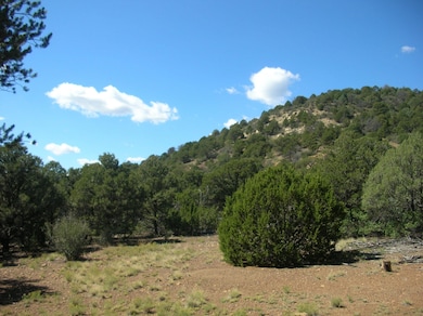 DSCN2346
