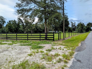 0 Peterson Rd, Pierson, FL 32180 - photo 3