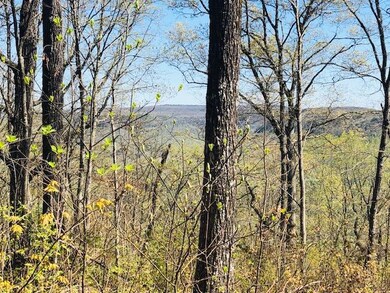 viny bluff 3