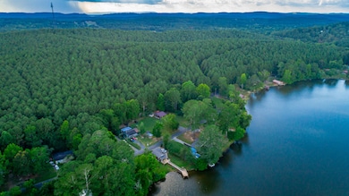 Peggy Lane Aerials HD-1