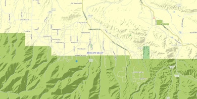 0 E Vic 126th St St E, Juniper Hills, CA 93543 - photo 6