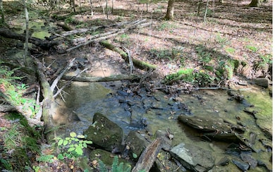 Additional View