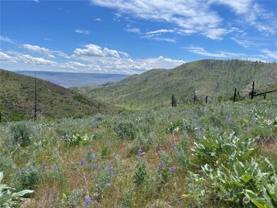 436 Antoine Creek Rd unit Lot E, Chelan, WA 98816 - photo 2