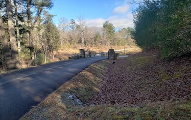 LT 15 My Forest at My Mountain, Morganton, GA 30560 - photo 3