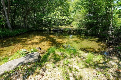 242 Blue Jay Dr, Chadwick, MO 65629 - photo 5