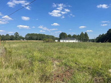 536 Lundy Rd, Sylvester, GA 31791 - photo 4