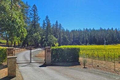 1155 Las Posadas Rd, Angwin, CA 94508 - photo 5