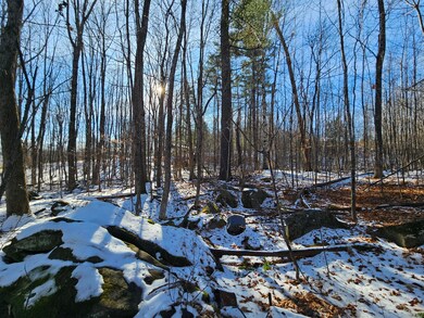 R09-L13-3 Ski Slope Rd, Farmington, ME 04938 - photo 5