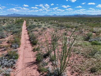Navajo3