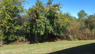 PRESERVE BEHIND HOME