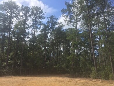 ... Wardlaw Rd, McComb, MS 39648 - photo 4