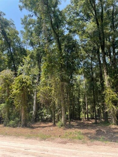 Lots 64 & 65 E J Stringer Rd, Crawfordville, FL 32327 - photo 2