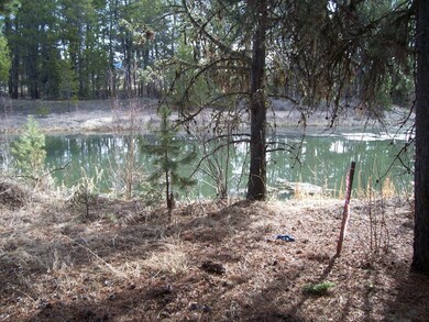 Large Pond