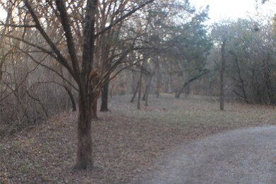 670 Wood Hollow Dr, Weatherford, TX 76087 - photo 6