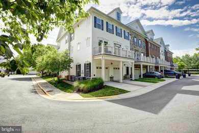 41959 Blue Flag Terrace, Stone Ridge, VA 20105 - photo 2