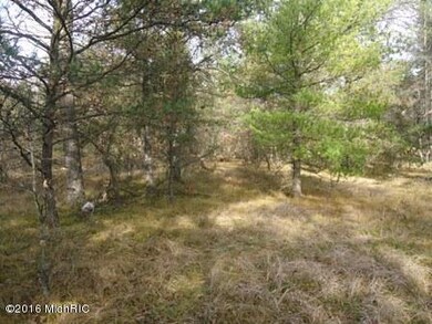 VL Par C S Nelson Rd, Baldwin, MI 49304 - photo 3