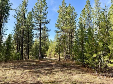 L19 Silver Cloud Dr, Cascade, ID 83611 - photo 3