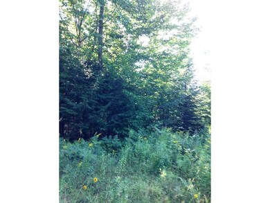 0 N Littleton Rd unit 4509995, Littleton, NH 03561 - photo 6