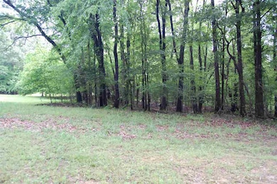 414 Laurel Falls Cove, Eads, TN 38028 - photo 7