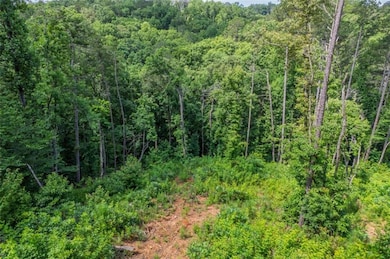 LT 246 Spear Point Dr, Talking Rock, GA 30175 - photo 5