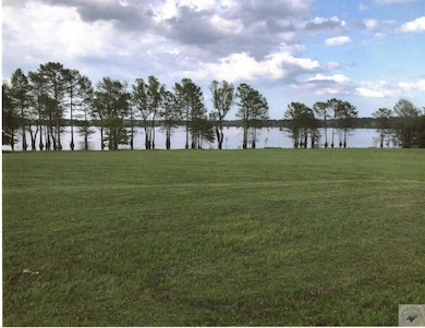 TBD Collier Rd, Lewisville, AR 71845 - photo 2