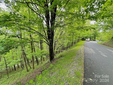 TBD Alpine Dr unit 33, Seven Devils, NC 28604 - photo 6