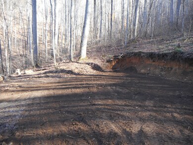 00 Horseshoe Ridge, Franklin, NC 28734 - photo 6