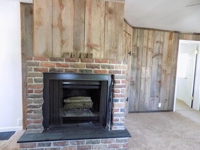 Wood burning fireplace
