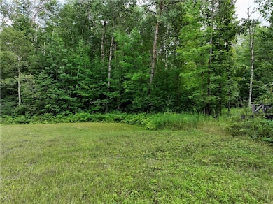 313 1 4 St, Rice Lake, WI 54868 - photo 5