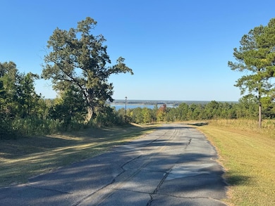 Lot 8 Mountain View Way, Bainbridge, GA 39819 - photo 3