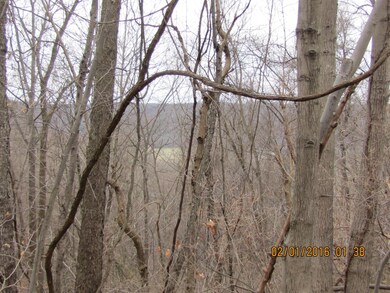 IMG_3014 - Copy