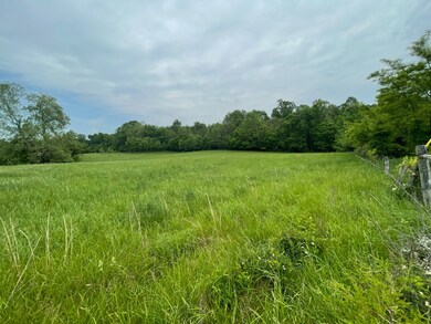 TBD E Side N White River Rd, Campbellsburg, IN 47108 - photo 2