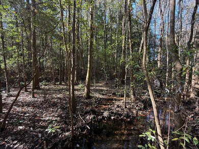 10075 Youngstowne Dr, Semmes, AL 36575 - photo 6