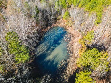 Old Pearl Rd - Land-11