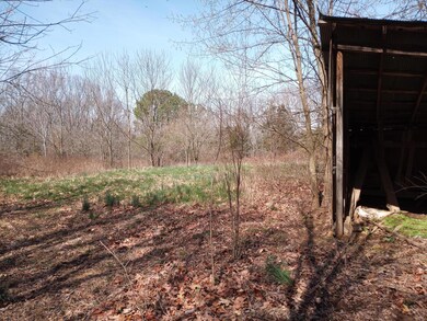 7509 Little St, Seligman, MO 65745 - photo 3