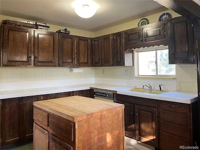 160 S Circle Dr, Bailey, CO 80421 - photo 4