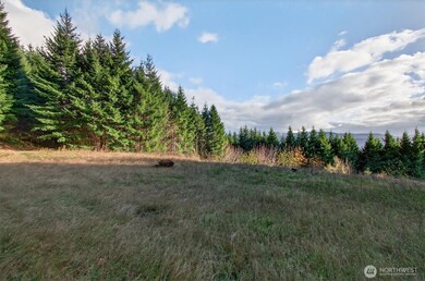 0 Knights Bridge Rd unit NWM2455713, Ariel, WA 98603 - photo 6