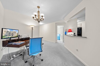11234 Harbor Ct unit 11234, Reston, VA 20191 - photo 5