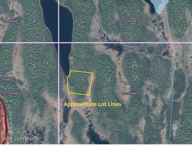 Approximate Lot Lines