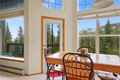 91399 Ryan Gulch Rd unit A1, Silverthorne, CO 80498 - photo 5