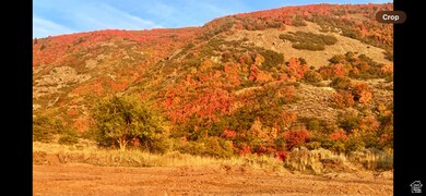 127 S Rock Loft Ridge Dr unit 57-R, Fruit Heights, UT 84037 - photo 7