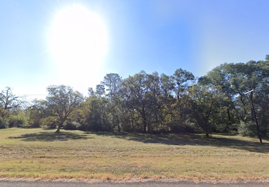 0 Wynne Rd unit Trinity TX 75862, Trinity, TX 75862 - photo 6