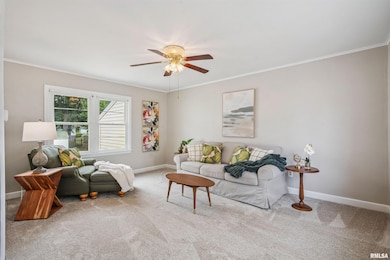 712 S Spring St, Geneseo, IL 61254 - photo 4