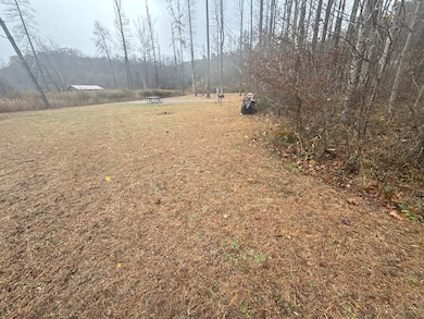 0 Rushing Water Trail unit 154191, Hayesville, NC 28904 - photo 6