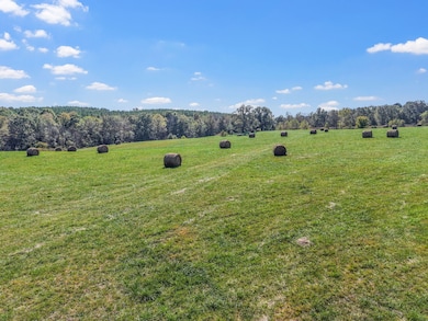 2760 Wallace Fork Rd, Princeton, KY 42445 - photo 7