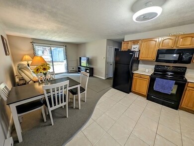 93 Center Depot Rd unit 53, Charlton, MA 01507 - photo 3