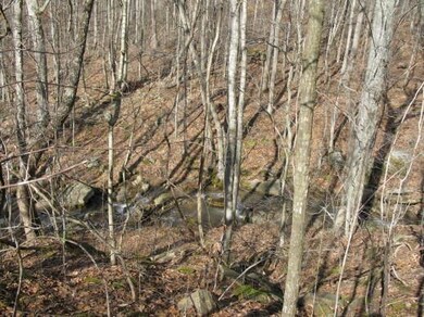 Owens Branch Creek