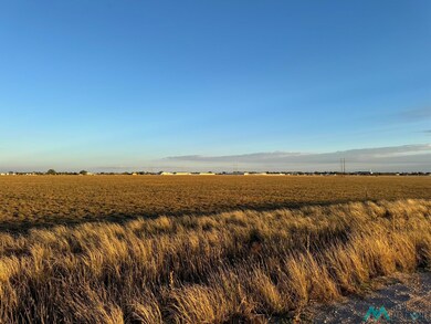 West Side of Wilclark Rd, Clovis, NM 88101 - photo 3